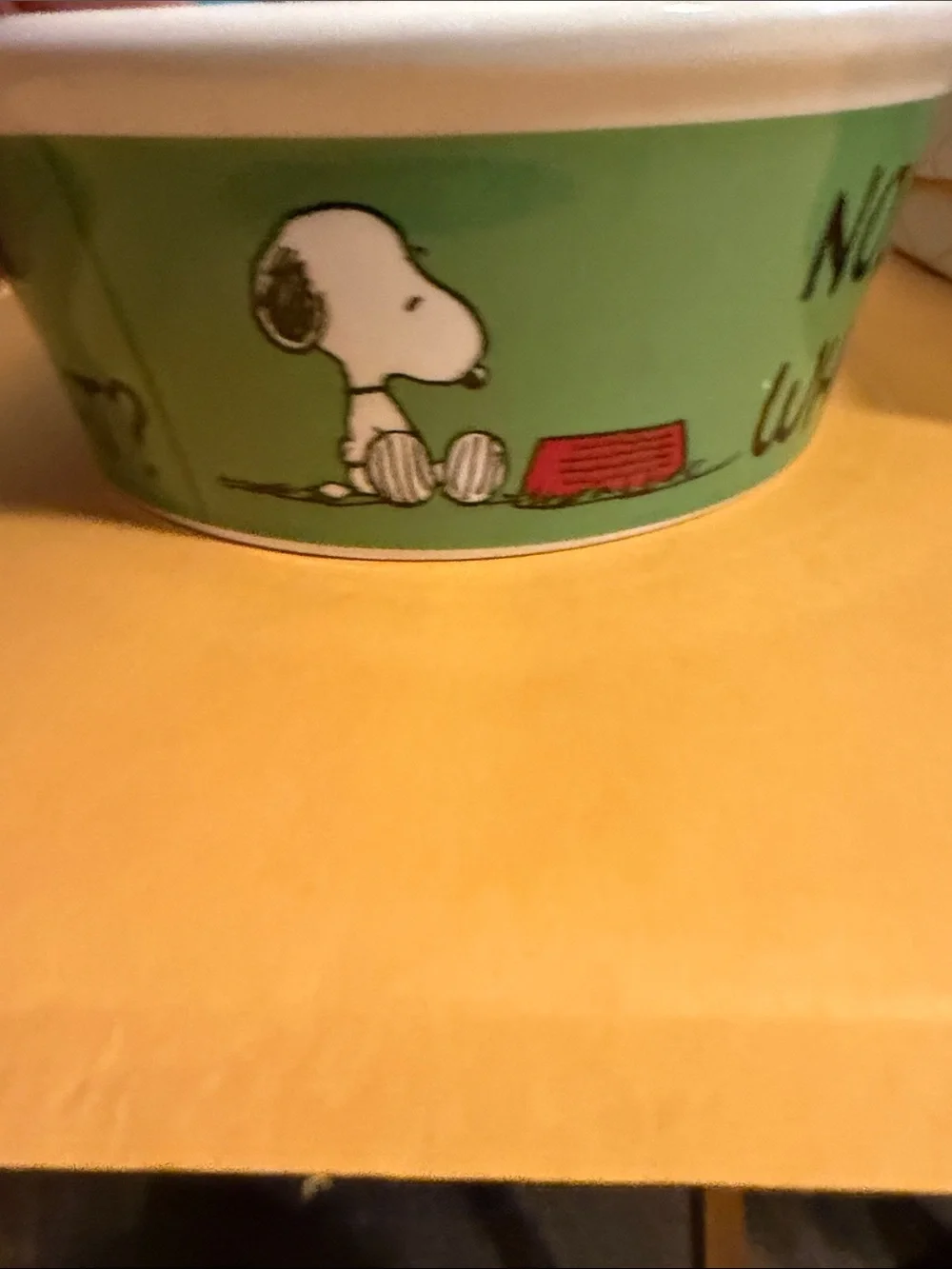 Gibson White Ceramic Peanuts 'MORE PLEASE!' Dog Bowl with Red Bowl Graphic